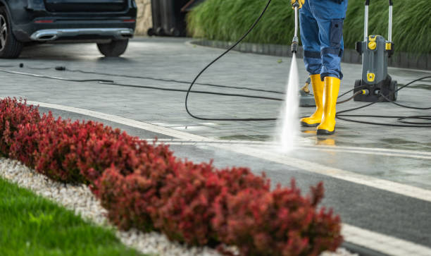 Best Roof Power Washing Services  in Stro Valley, CA